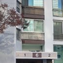 방충망대통령 이미지