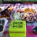 솔밭공원1 이미지