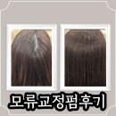 부천역곡역 아벨로헤어 모류교정펌 후기 – 볼륨 있는 머리 완성!