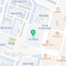 금정크로커다일 이미지
