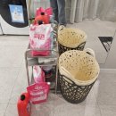 성심모텔 | [대전 숙소] 대전한화생명볼파크 인근 가성비 에어비엔비 성심스테이 후기