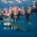 오*권 | [ 아이와 세부 ] 세부에서 제일 기억에 남았던 하루👍🏼 '세 친구 투어 / 오🐳케🏞️팩 ' 후기.