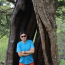 정선군 도사곡샘터 이미지