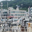 새마을식당영덕강구점 이미지