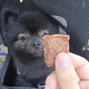 삼가고깃집 이미지