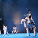 명품타이거즈 이미지