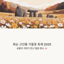 백아산가든 | 화순 고인돌 가을꽃 축제 2025, 공룡과 국화가 만난 힐링 명소