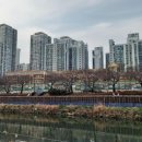 수영강 이미지
