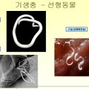 부여동물약국 이미지