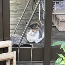 1학기 후기