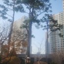 세븐센트럴푸르지오 이미지