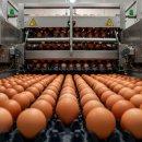 태양종계장 이미지