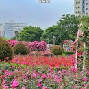 구도근린공원 이미지