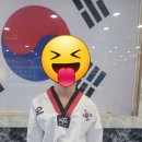 MNT 태권도 스포츠센터 이미지