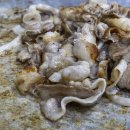 제일상동밥상 이미지