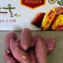 화순농장 이미지