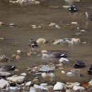 기세곡천 이미지