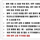맨즈펫 이미지