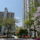 동신3단지(아) 이미지