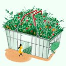 이연주농장 이미지