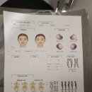 더(the)큰병원 | 부산턱관절병원에서 교정치료중인 40대남자의 내돈내산 후기