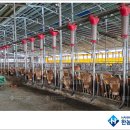 민수태양광발전소 이미지