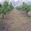 하울농장 이미지