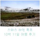 성안 벽화마을 시화 | 스위스 라인 폭포 여행후기