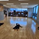 윤검도관 이미지