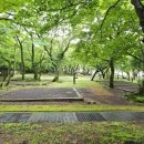 한라산국립공원관음사지구야영장 네이버블로그