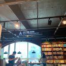 1843 | 대전 교보문고 : 구경하고 책 구입후기 📖 +주차정보