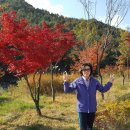 수승대 오토캠핑장 이미지