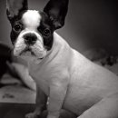 졸리졸리 이미지