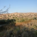 병길축사 이미지