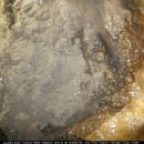 다누리펜션 이미지