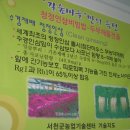 먹자방식당