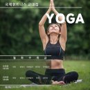 빈야사요가 초급반 이미지