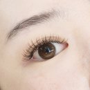진래쉬(jin lash) 이미지