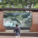 출발~ 삼국시대 여행 이미지