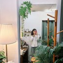 을지로 사진관, 흐드러지다 스튜디오 방문 후기
