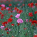 한송농장 이미지