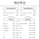 메슈왁싱