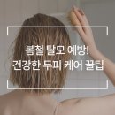 웰킨 천호점