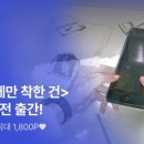 밤디농장 이미지