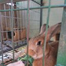 부창농장 이미지