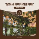 후평숲유원지 관리매장 | 산책하기 좋은 자연 속 발리 감성 카페 I 달빛새 베이커리앤카페