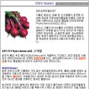 간 해독 : 비트(Beets)의 효과와 스무디 만들기 이미지