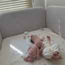 한샘플라워 | 데이베드 플러스 도어형 내돈내산 구매 후기 | 저상형 아기침대 추천, 설치 후기, 홈앤힐 데이베드 가드