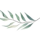 소다롯데아울렛 이미지