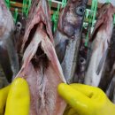 흥부약국 이미지